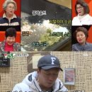 솔트랩 이미지