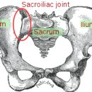 가오한의원 이미지