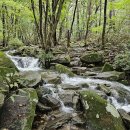 240922 함양 기백산+용추폭포 (명산100+, 기금거황 종주) 이미지