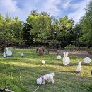 석삼말로3 이미지