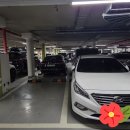 큰 형수님 칠순 축하금 갹출 이미지