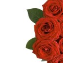 로뎀펜션 이미지