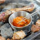 맛있는생고기