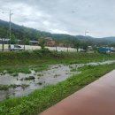 신갈천 상갈동 이미지