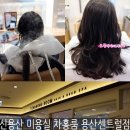 김수아미용실 | 신용산 미용실 차홍룸 김수아쌤 모발&두피 클리닉최고