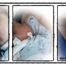 배고픈 모찌 이미지