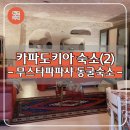 터키 카파도키아 여행 동굴 숙소 호텔 Deep cave house 후기