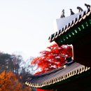 조*태1 이미지