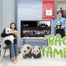패밀리플러스