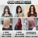 꼼무드헤어아산탕정점