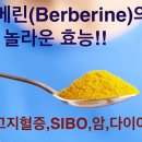멜로우네이쳐 | 베르베린 멜로우네이쳐 인슐라 밸런스 99 혈당관리 가성비 후기