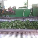 영운농장 이미지