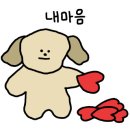 공주수선 이미지