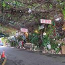 버스정류장 07-302 이미지