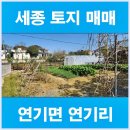 우리땅 공인중개사사무소 이미지