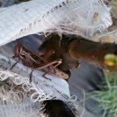 솔바우농장 이미지