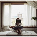 정성커튼블라인드 - 목포시 마인계터로40번길 4 | 정성커튼블라인드
