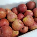 유승베스트빌 이미지