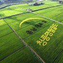 청풍명월 이미지