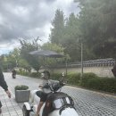 버터멍 | 전주 여행 시작 멍바이크 교동옥수수