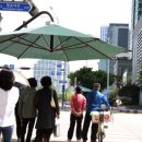 그늘막73 이미지