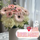 후리지아 | 강남 고터 꽃시장 토요일 방문 후기(후리지아 가격, 생화 시간 총정리)