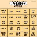 빙고 - 해운대구 세실로69번길 15 | 빙고