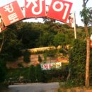 황토장어 이미지