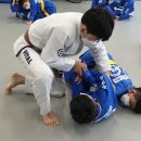 안철웅 유도앤주짓수 멀티짐 이미지