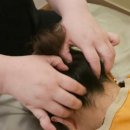 호평동67번길 이미지