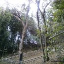 청도감마을 이미지