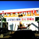 정읍고등학교 이미지