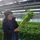 덕성농장 이미지