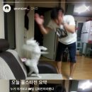 삼산수지 이미지