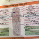 가평남이섬케이팝호텔