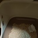 해비치동물병원 이미지