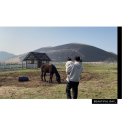 해이목장 이미지