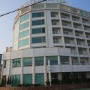 터미널횟집 - 통영시 동충4길 7 | 터미널횟집
