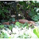 대문안 농장 이미지