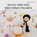 자연광 사진관 미사 하남 베이비 스튜디오 픽시스튜디오 가격 및 촬영후기