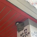 [임신기록-15] 임신 35주 / 강원도 태교여행 / 영월 비브릿지 G104 글램핑 / 정선 파크로쉬