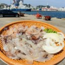 어메이징속초 | 속초 동명항 가볼만한곳 속초 오징어난전 기간 시세 주차 (실제 방문 후기)