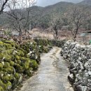 대율초등학교 | 『옛 돌담길의 재발견』 Ⅶ - ▣군위(軍威) 한밤마을▣대구(大邱) 옻골마을▣예천 상금곡리(醴泉 上金...