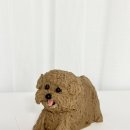 퍼피비스킷 이미지