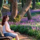 투썸플레이스 구미안가고택점 이미지