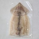 오징어