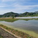 삼산2리마을회관 이미지