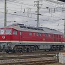 행복한어르신의집 이미지