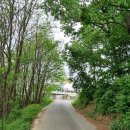 최잠,최호 정려 이미지