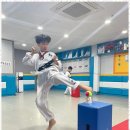 푸른태권도 이미지